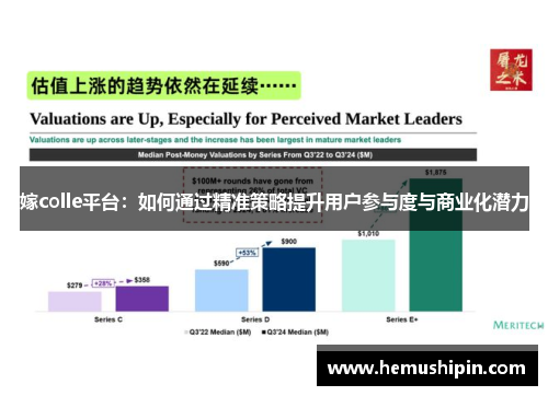 嫁colle平台：如何通过精准策略提升用户参与度与商业化潜力